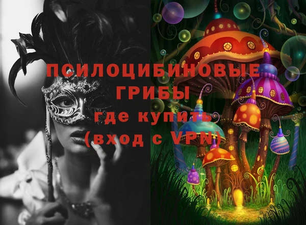 эйфоретик Алексин