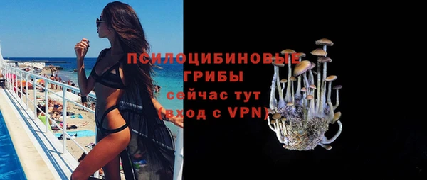 эйфоретик Алексин