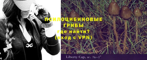 ALPHA-PVP Надым