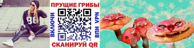 Псилоцибиновые грибы Magic Shrooms  цены   Адыгейск 